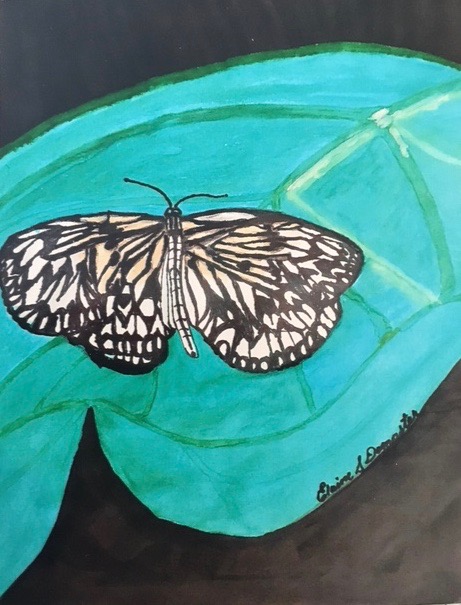 Artwork by Elaine Dempster